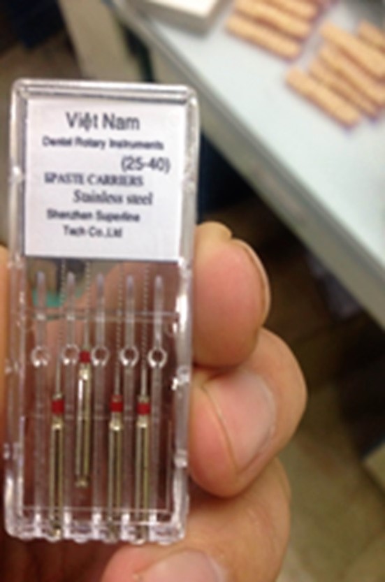 Lentulo Việt Nam
